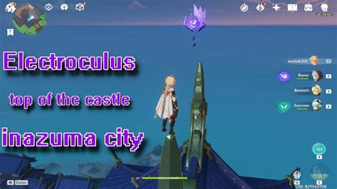 Image result for Electroculus Inazuma Castle
