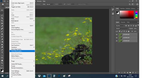Image result for Stacking Methods in Photoshop