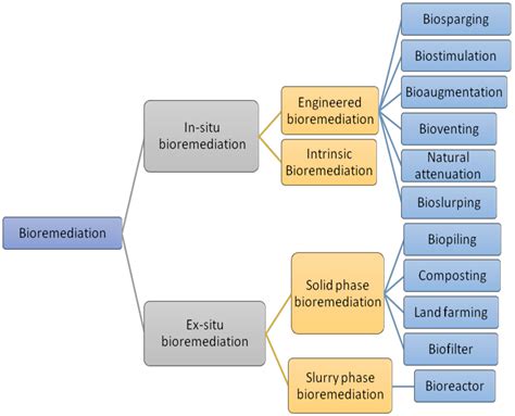Recent Strategies for Bioremediation of Emerging Pollutants: A Review ...