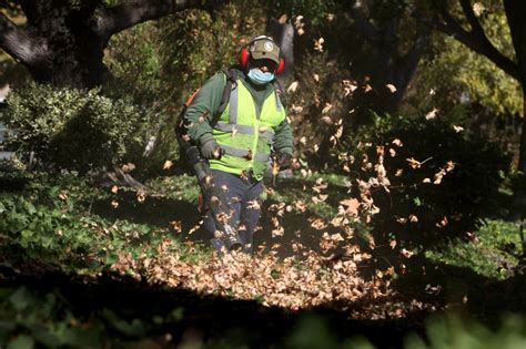 States and towns consider banning gas-powered leaf blowers and lawn mowers Background