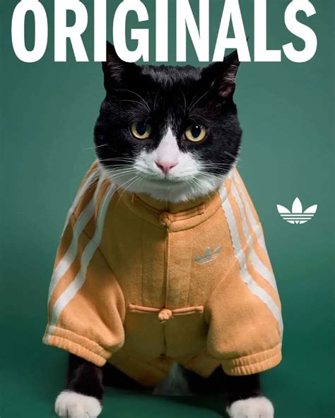 adidas Pet Collection Chinese New Year 2026
