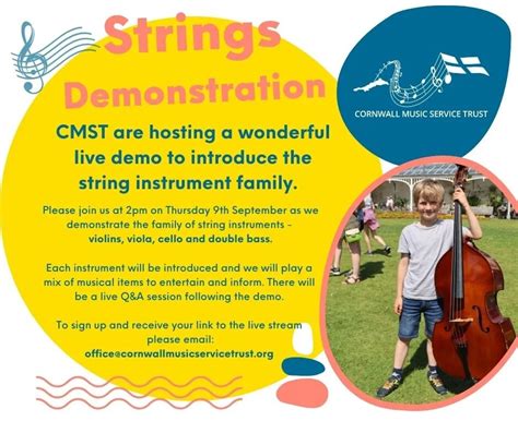 Image result for String Instruments Demo