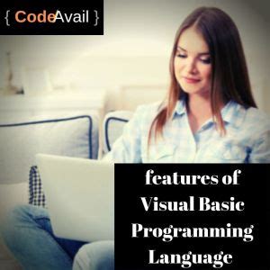 Image result for Visual Basic Programming Code Language