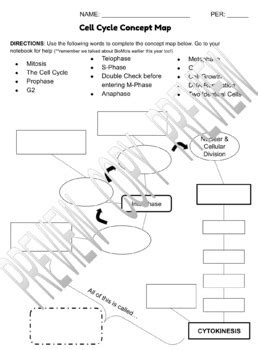 Cell Cycle Concept Map Biology 的图像结果