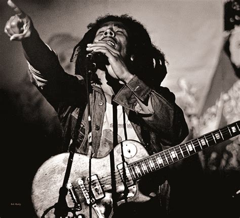 Scrapy Reggae.com 的图像结果