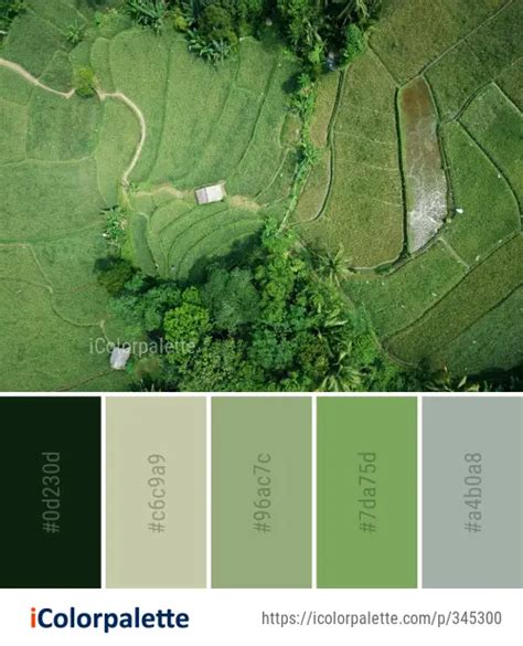 Nature Color 的图像结果