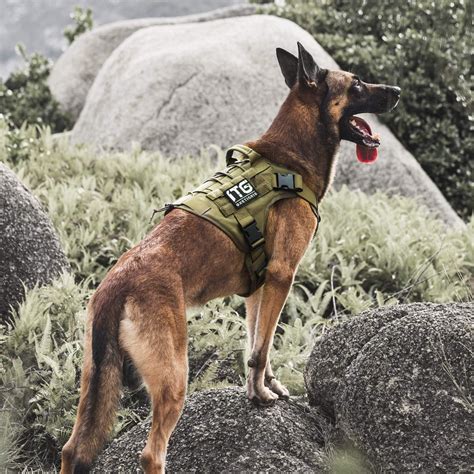 OneTigris Tactical Dog Harness,No-Pull Dog Vest with India | Ubuy