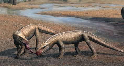 Largest Prehistoric Alligator
