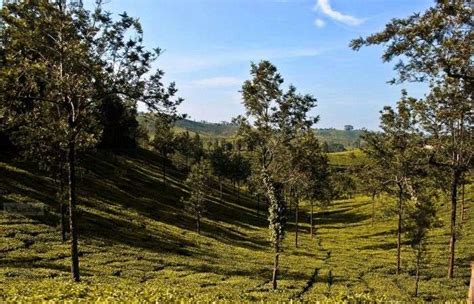 25 Hill Stations In South India That Will Replenish Your Spirits In 2026