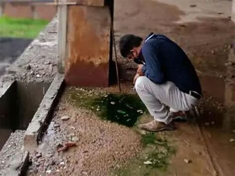 Water-borne and mosquito-borne diseases, diarrhea and vomiting and ...
