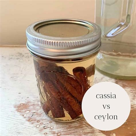 Cassia vs Ceylon Cinnamon: What is the Difference? - Rivers Family Farm