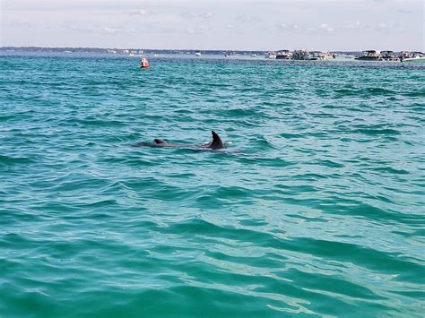 CRAB ISLAND PONTOONS (2026) All You Need to Know BEFORE You Go (with ...