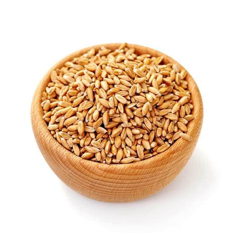 Organic Khapli Wheat Online | Jave Godhi Bangalore Fresh