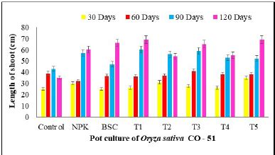 Application of banana spathe extracts and compost for improving growth ...