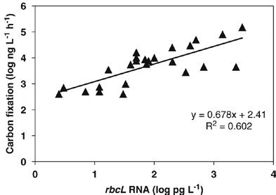 Relationship of measured carbon fixation, as net primary productivity ...