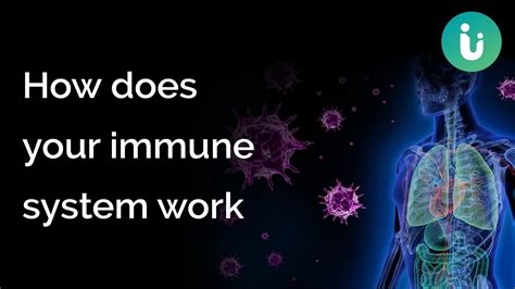 Image result for How Immunity Sytem Work Against Virus Downloadable