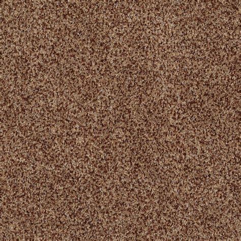 Shaw Private Oasis IV 8 x 11 Montana Solid Area Rug at Lowes.com