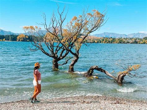 VISITAR WANAKA - O que ver e fazer na Nova Zelândia