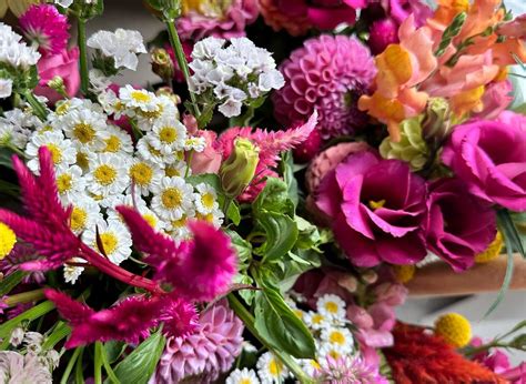 Bloom Bar with Roots Ranch, 503 S. Main st, Normal, IL, United States ...