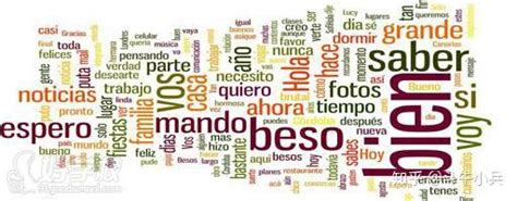 标准西班牙语语法——精解与练习(初级)-外研社综合语种教育出版分社