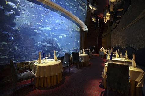 World Restaurants Near Me 的图像结果