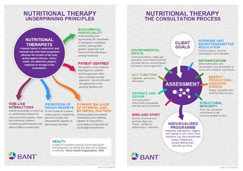 nutritional counseling vs nutritional therapy