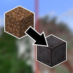 Image result for Randomizer Minecraft Block