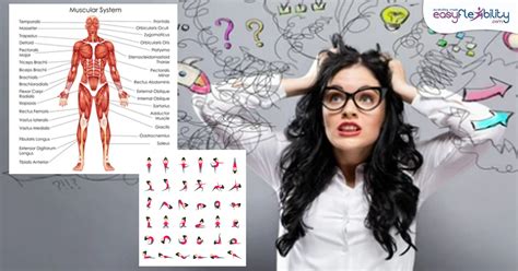 Stretching 的图像结果