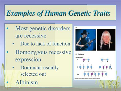Genetics Biology Examples 的图像结果