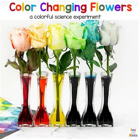 Image result for Color Changing Experiment