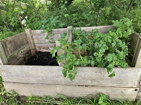 Image result for Making Compost Storage