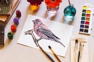 Image result for Drawing Birds Tutorial