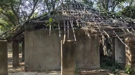 ‘Displacement’ of tribal families in the name of eviction alleged in ...