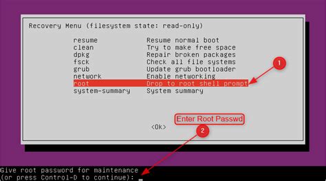 Image result for Boot Linux in Recovery Mode