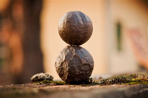 Free picture: balance, object, position, positive, nature, wood, leaf, sun