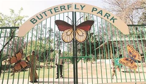Home To Around 35 Species Of Butterflies, This Beautiful Park In ...