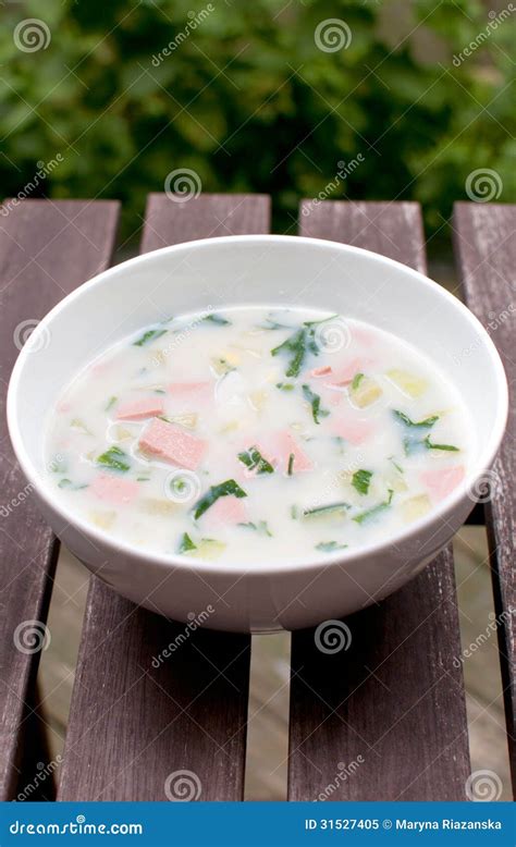 Summer cold russian soup stock image. Image of cold, outside - 31527405