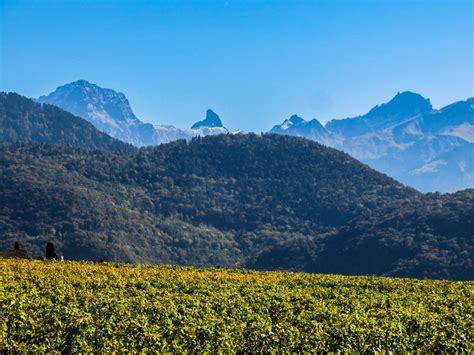 THE BEST Places to Visit in Yvorne (2026) - Must-See Attractions