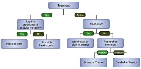 Movement Disorders – Basal Ganglia