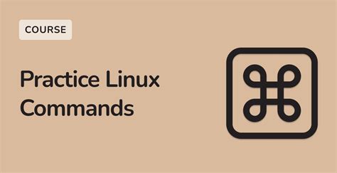 Linux Practice 的图像结果