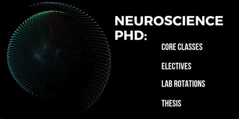 Image result for Neuroscience Degree Programs