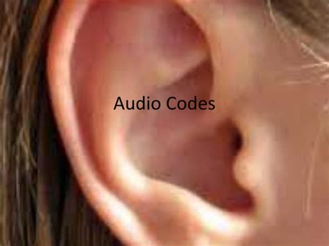 Image result for Audio Code Numbers
