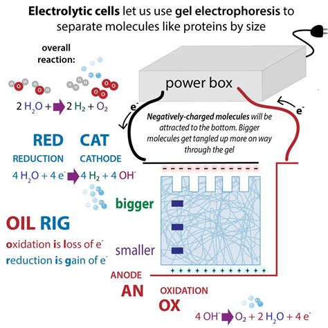 Image result for Simple Electrolytic Cell