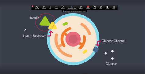 Rezultat imagine pentru Using Zoom Annotations