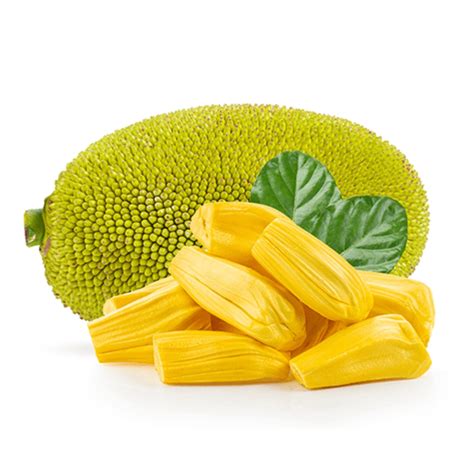 Fresh Jackfruit (6 piece)