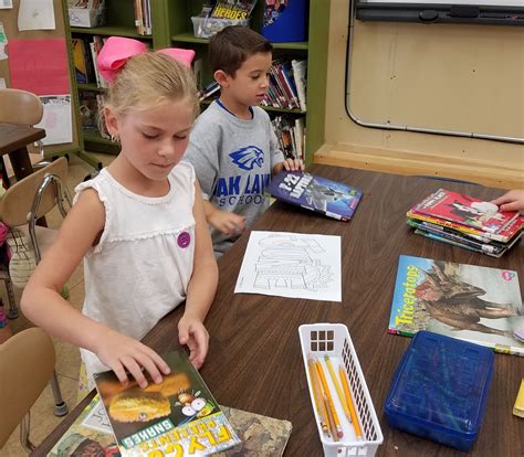 Image result for Library Sorting Activties