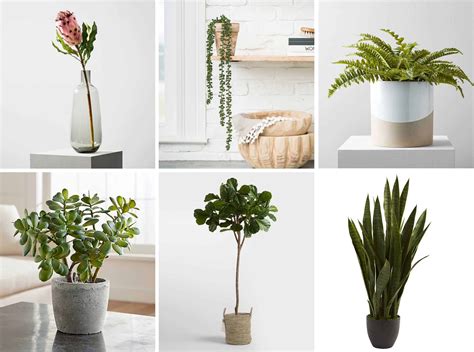 Artificial Plants And Floral
