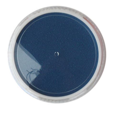 Mario Giussani Colors For Fan Greaseproof Paste 15 ml blue