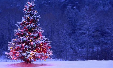 christmas 的图像结果