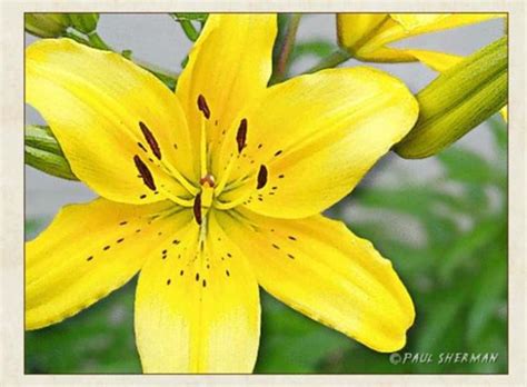 GIMP Installing Plug Ins 的图像结果